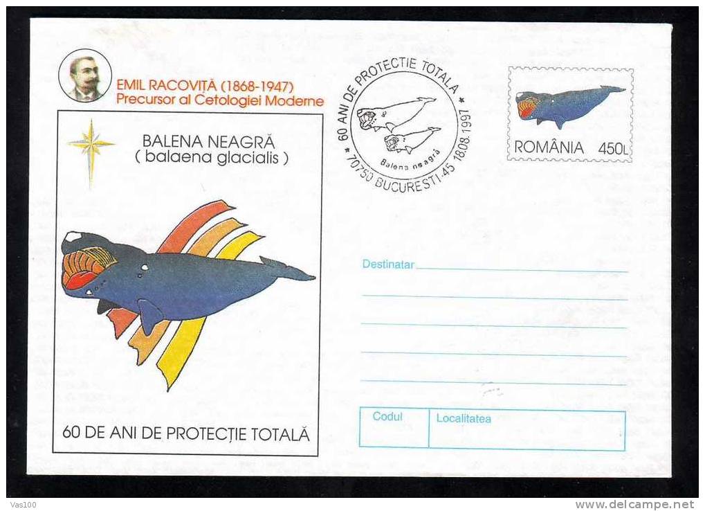 WHALE BALEINE- Hunting,entier Postal Stationery 79/1997,very Rare PMK. - Baleines