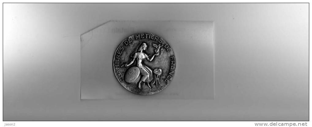 Medaille Chambres De Metiers De France L'artisanat Francais Reconnaissant - Obj. 'Herinnering Van'