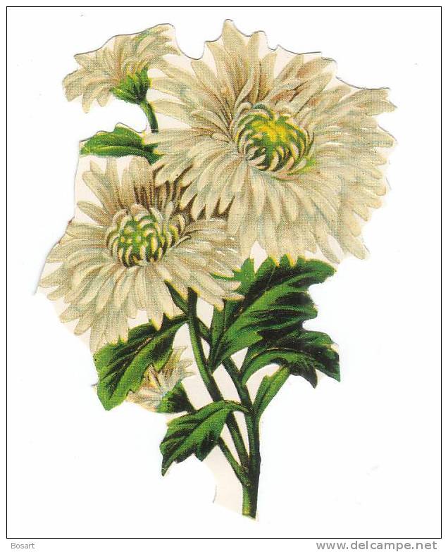 Decoupis Ht 90mm Branche De Dahlia Jaune Beige - Fiori