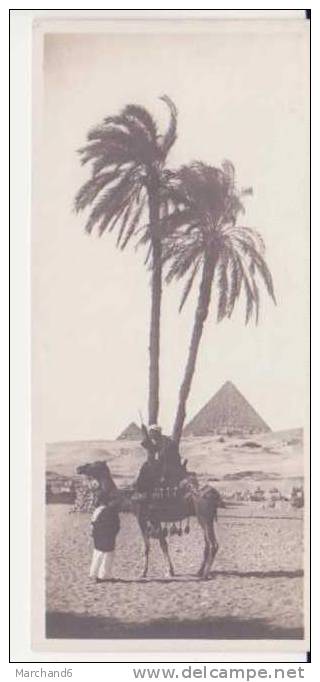 EGYPTE . CAIRE .CAIRO .  MIGNONNETTE FORMAT 146X65 SANS LEGENDE  EDITEUR TRUST CAIRO - Altri & Non Classificati