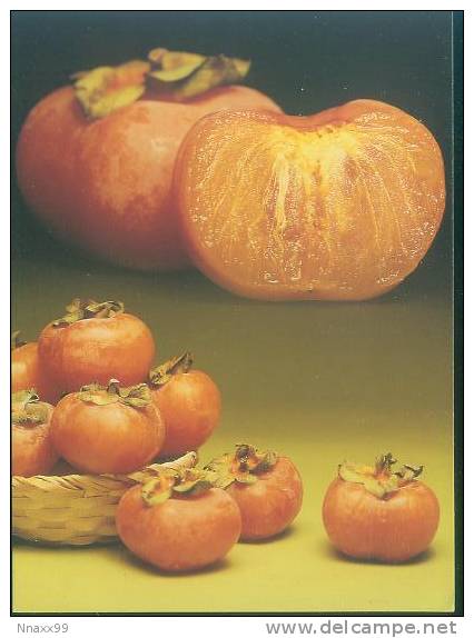 Fruit - Persimmon (Diospyros Kaki) - Cultivation