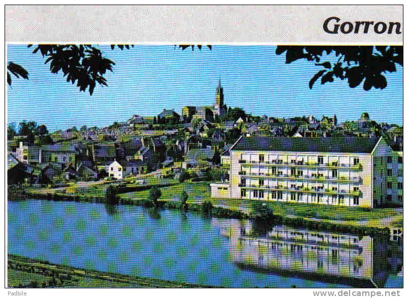 Carte Postale 53. Gorron  La Maison De Retraite Et Le Plan D'eau Trés  Beau Plan - Gorron