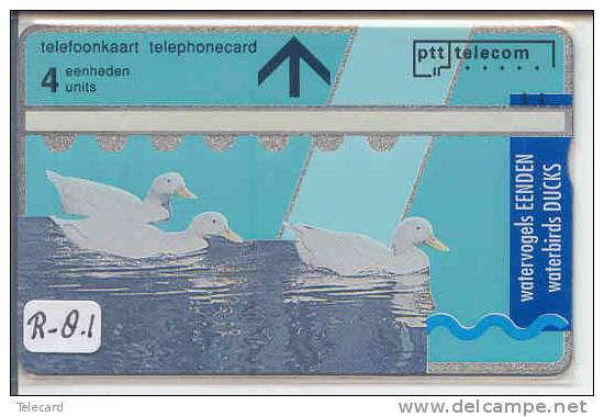 Telecarte LANDIS&GYR NETHERLANDS R-8.1 Nederland Pays-Bas Prive Private Oiseau Bird Canard Duck Mint Inutilisé  RARE!! - Private