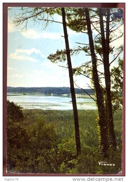 CPM Région Aquitaine Douceurs Des Etangs - Aquitaine