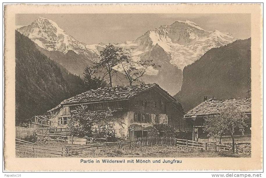 CH - BE - Partie In Wilderswil Mit Mönch Und Jungfrau -  Ed. PWZ N° 0291 (gelaufen / Circulée 1915) - - Wilderswil