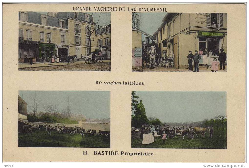 PARIS  -  Grande Vacherie Du Lac Daumesnil.H Bastide Propriétaire.(carte Multivues). - Arrondissement: 12