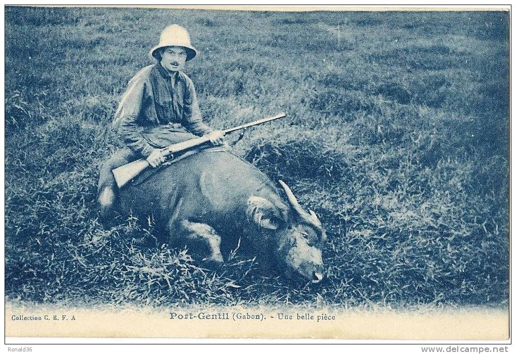 CP GABON  PORT GENTIL Une Belle Pièce De Chasse ( Chasseur Et Fusil ) Buffle Sauvage , Chapeau Colonial - Gabon