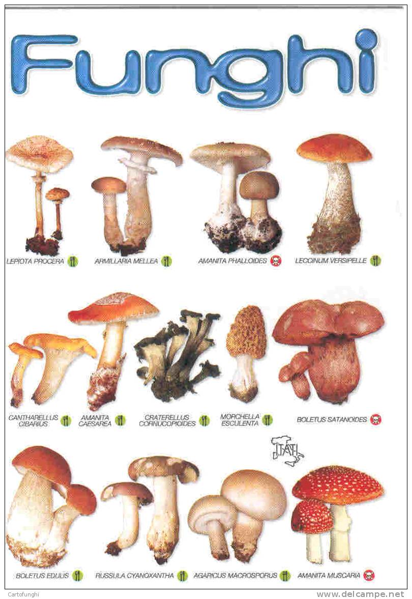 FUNGHI –MUSHROOMS - CHAMPIGNONS - PILZE - SETAS - EDIZIONE ETS CAVARIA - Funghi