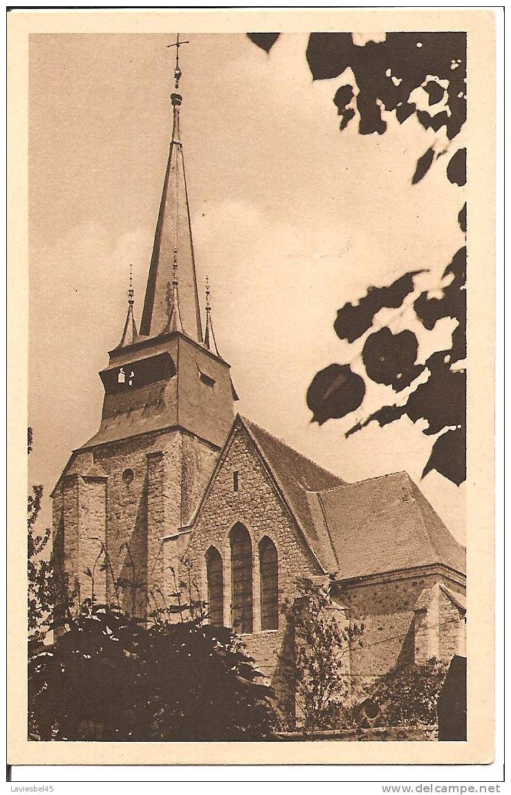 Dept 89 (Yonne) VILLENEUVE L ARCHEVECHE . L EGLISE COTE SUD - Villeneuve-l'Archevêque