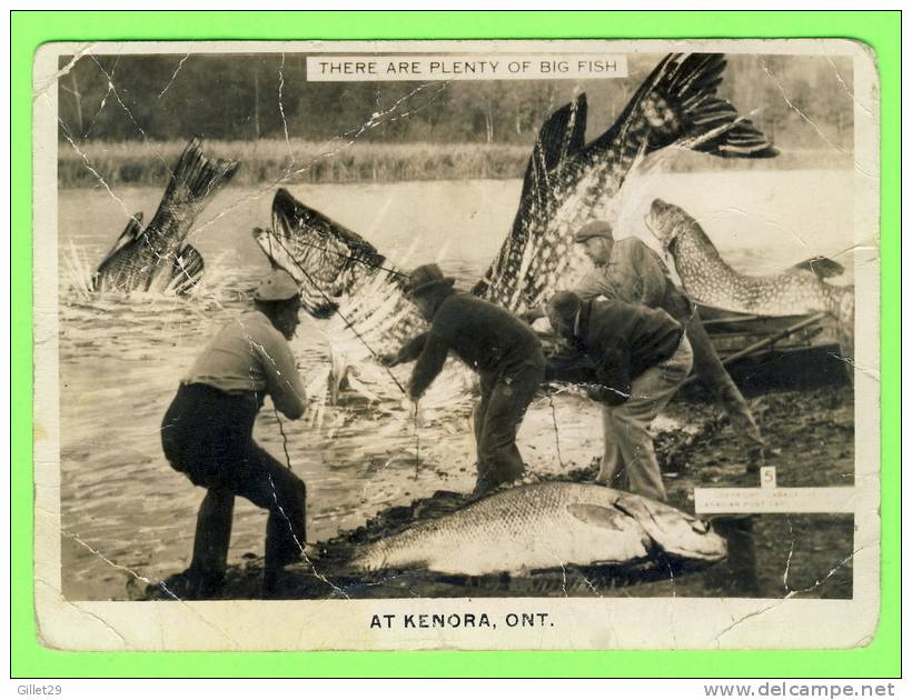 KENORA, ONTARIO - AT KENORA THERE PLENTY OF BIG FISH - ANIMATED IN CLOSE UP - - Other & Unclassified