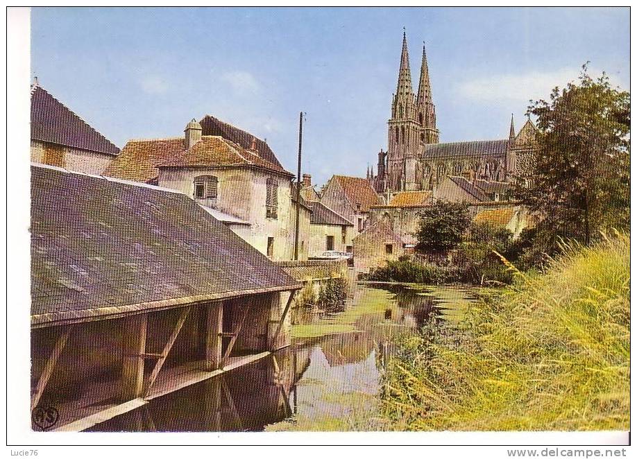 SEES -  La Cathédrale, Vue Du Lavoir - N°  58 - Sees