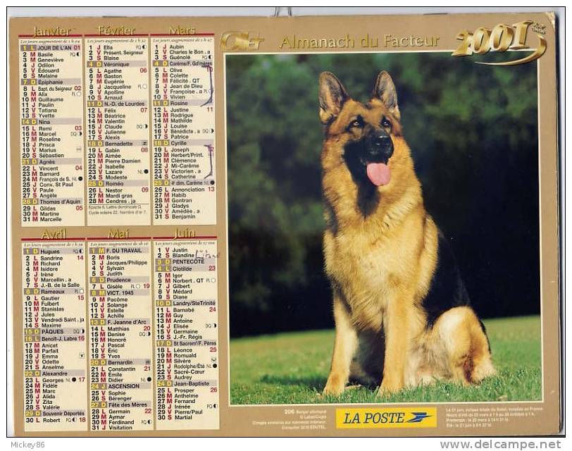 2001--CHIENS---Berger Allemand Et Labrador--département 86-VIENNE - Grand Format : 2001-...