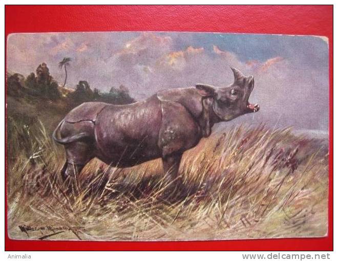 Rhinoceros Illustrateur Allemagne - Neushoorn