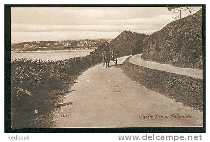 Horse & Jig Castle Drive Falmouth Cornwall Postcard   - Ref A67 - Falmouth