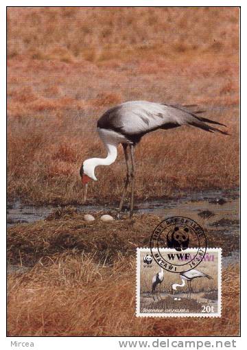 5809  -  Malawi 1987 - Maximumkarten