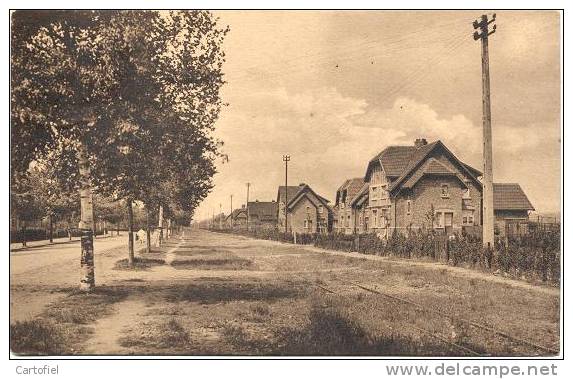 EISDEN: KOOLMIJNEN - WERKMANSWIJK KONINGINNELAAN - POSTZEGEL WEG - Maasmechelen