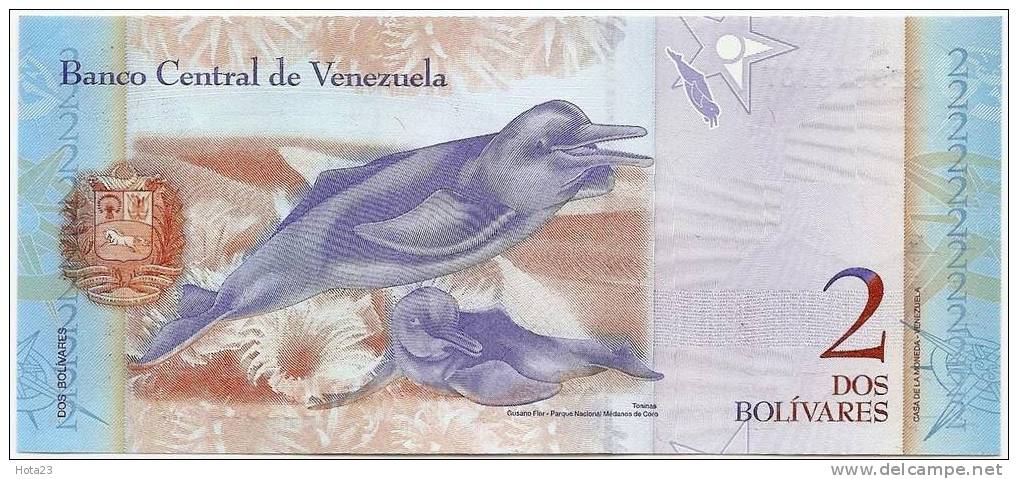 Venezuela 2 Bolivares 2007  UNC - Venezuela