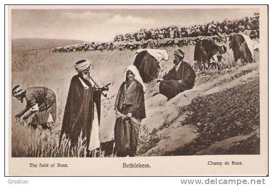 BETHLEHEM THE FIELD OF BOAZ   CHAMP DE BOAZ (BELLE ANIMATION) - Palestine