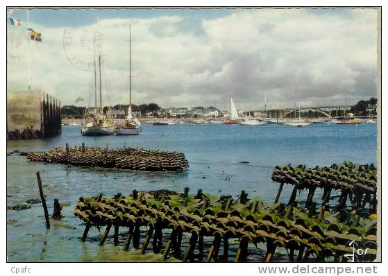 CP 1960 La Trinité Sur Mer -"les Bouquets" ,pilotis Recouverts Par La Marée Ou Grandit Le Naissin - La Trinite Sur Mer