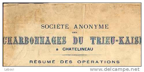 CHATELINEAU – Charbonnages Du TRIEU-KAISIN – Bilan Mensuel (juin 1906) - 1900 – 1949