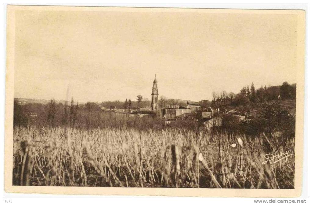 CpE0979 - VERDELAIS - Vue Panoramique - (33 - Gironde) - Verdelais