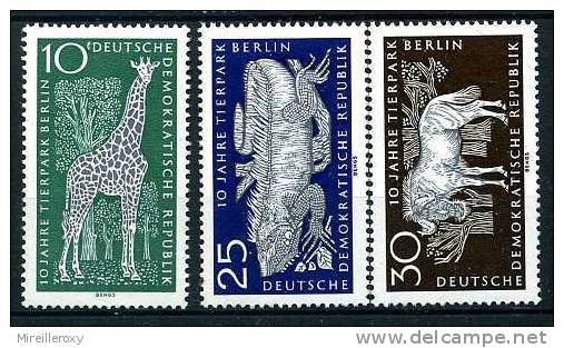 ANIMAUX /  GIRAFE / IGUANE / GNOU / TIMBRE ALLEMAGNE - Giraffen