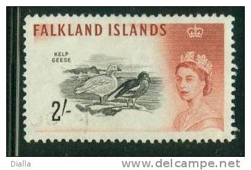 Falkland Isl. 1960-99, Yv. 133, Ouette Marine Oiseau - Bird Kelp Goose, Oblit. - Canards