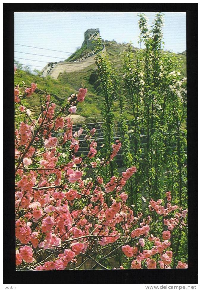 Spring Scenery At The Great Wall - People's Republic Of China - China
