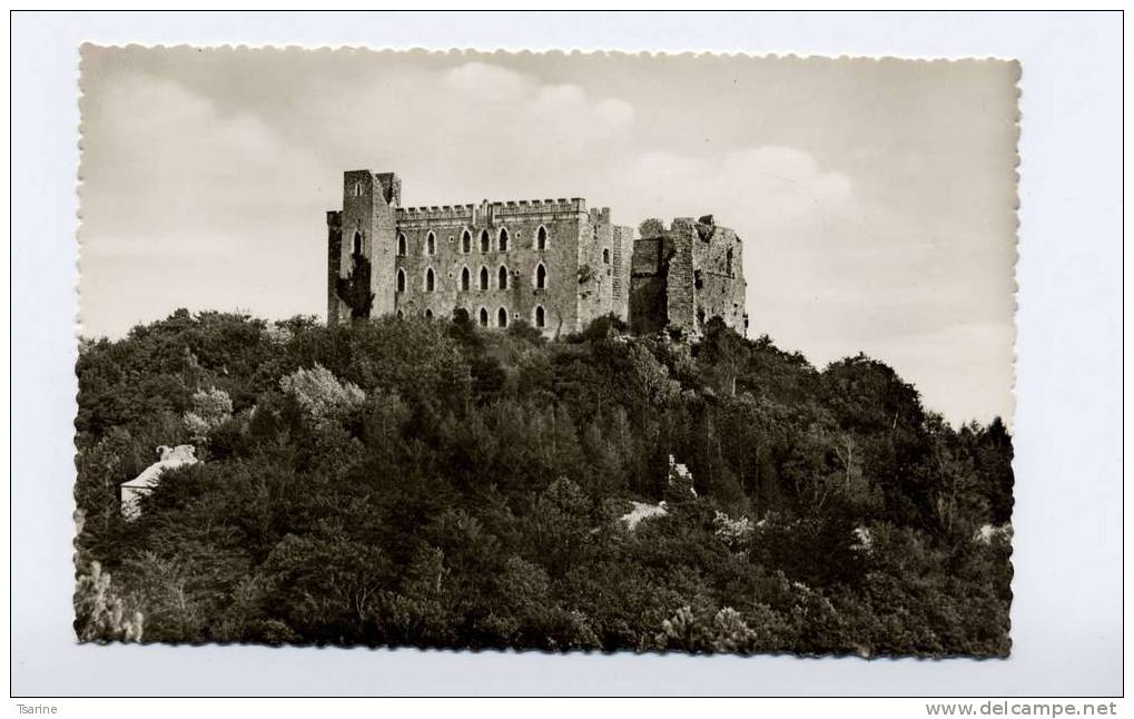 Allemagne : Burgschenke Maxburg  Hambach - Neustadt (Weinstr.)