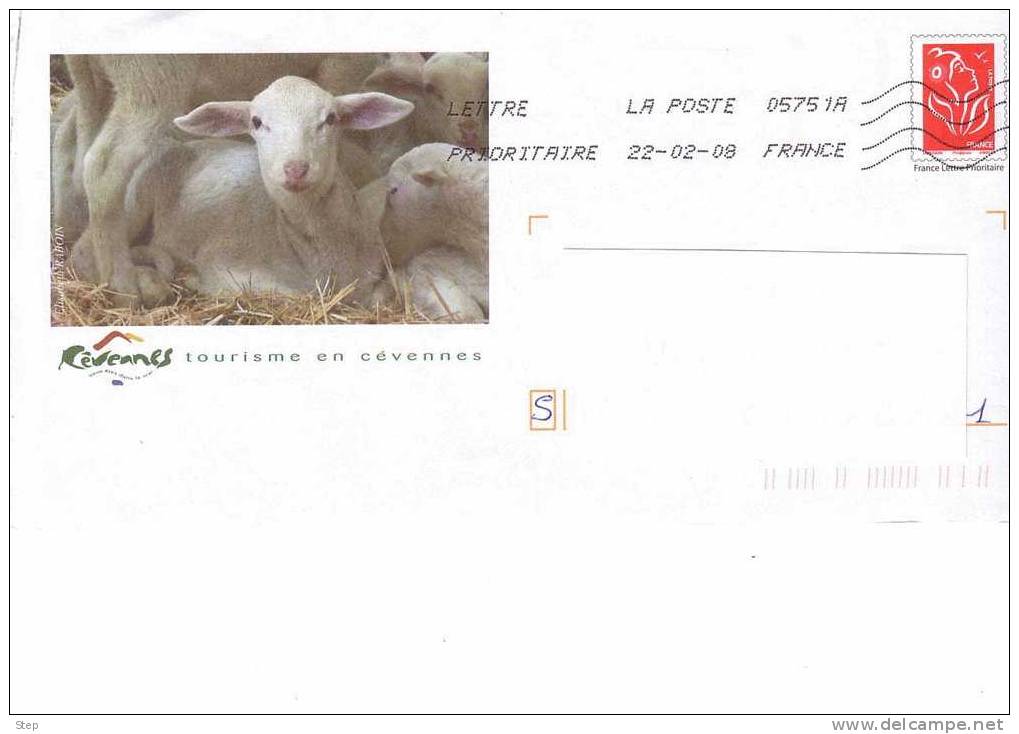 PAP REGIONAL CEVENNES : MOUTONS Timbre "LAMOUCHE" - Prêts-à-poster:Overprinting/Lamouche