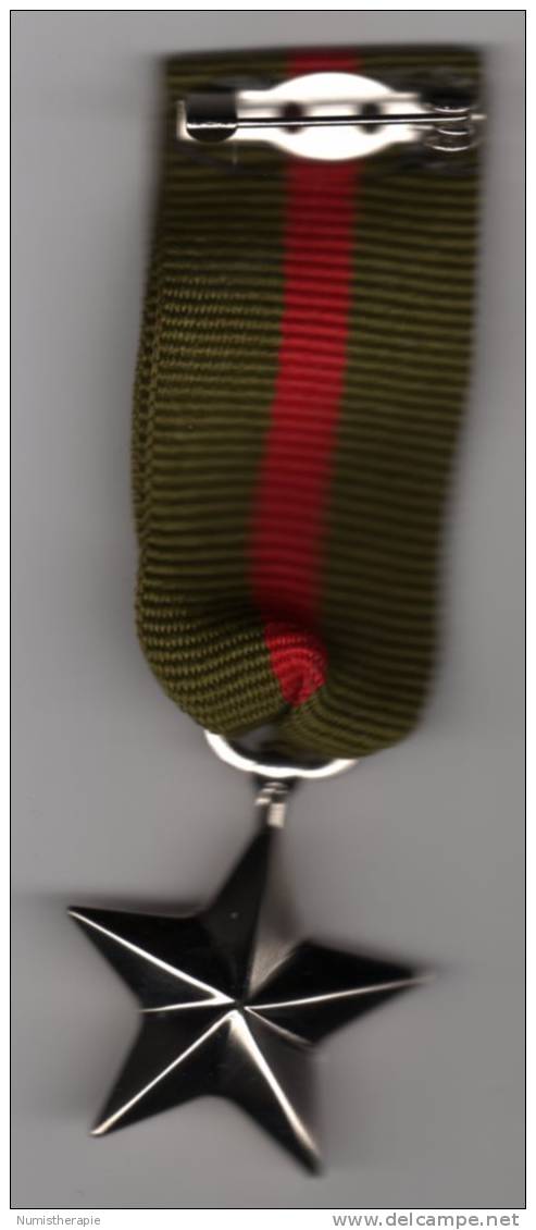 * Insigne Pin´s Militaire CCCP Soviétique ? Etoile En Plastique - Armee