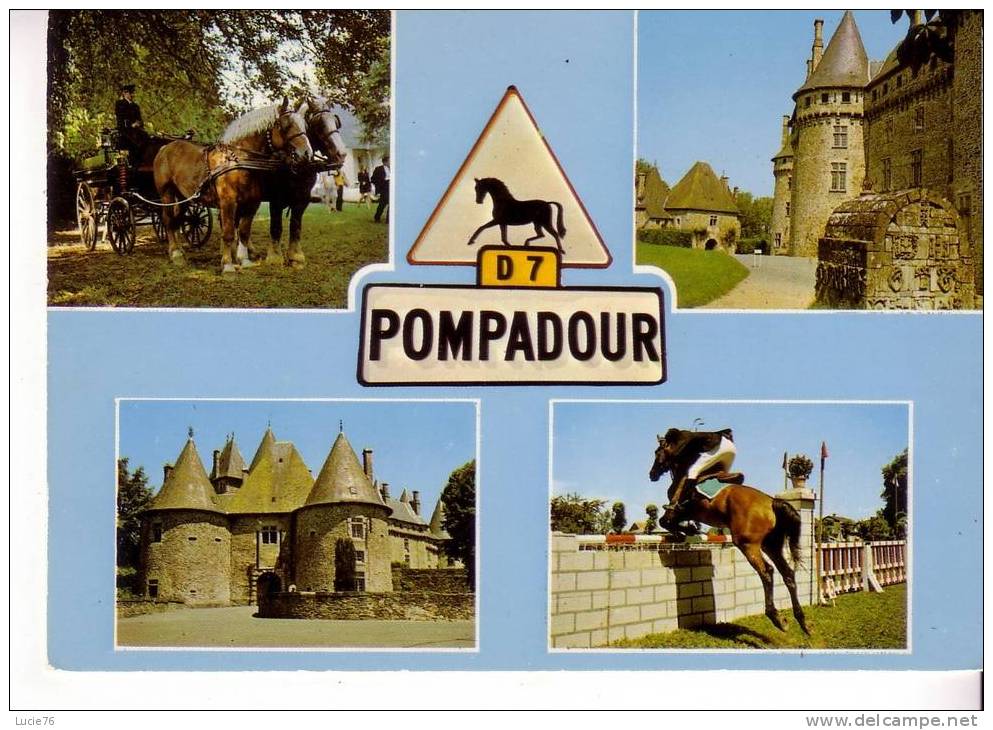 POMPADOUR -  4 Vues :  Premier  Centre Hippique D´Europe - - Arnac Pompadour