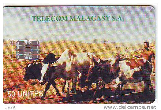 MADAGASCAR TROUPEAU 50U SC7 VERSO "AU COEUR DE LA COMPETITION" ETAT COURANT (Traces Sur Recto) - Madagaskar