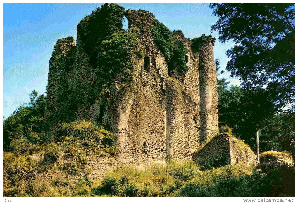 CPM Pouzauges  Le Chateau De Gilles De Retz - Pouzauges