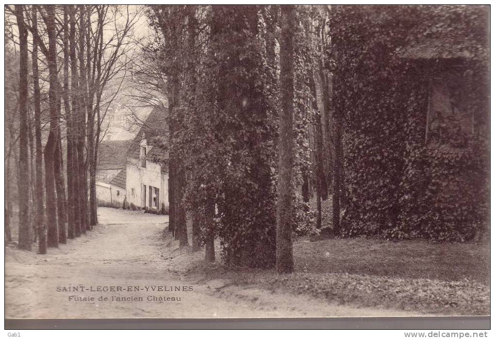 78 --- Saint - Leger - En - Yvelines --- Futaie De L´ancien Chateau - St. Leger En Yvelines