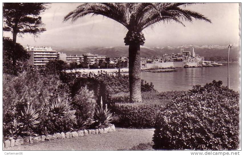 06 - Antibes - La Vieille Ville Et Les Alpes Neigeuses. - Antibes - Vieille Ville