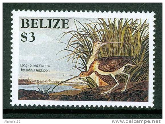 Bicentenaire De J.J. Audubon - BELIZE - Oiseaux Multicolores 3d - N° 710 ** - 1985 - Belice (1973-...)