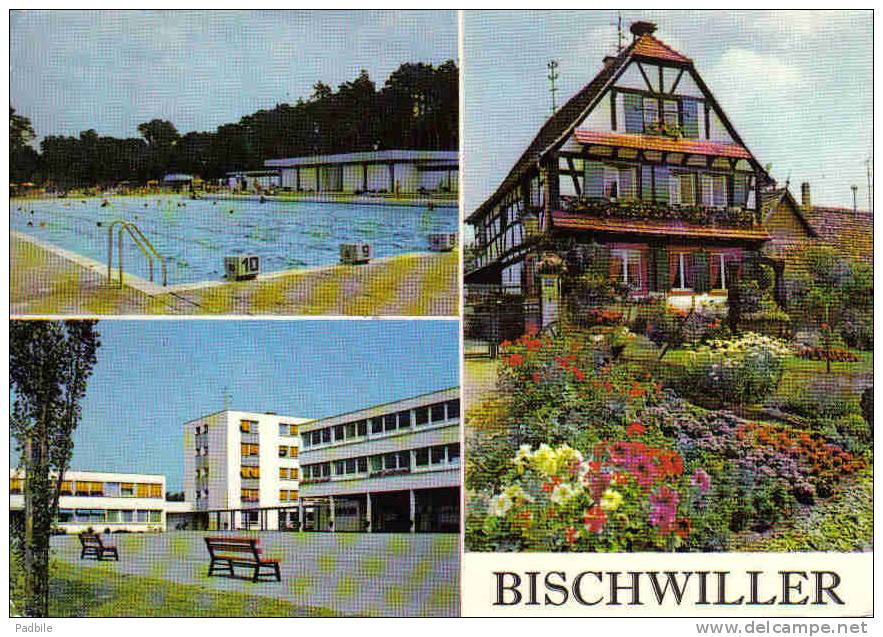 Carte Postale 67. Bischwiller  La Piscine Le Collège Et "Hanhoffen" Trés Beau Plan - Bischwiller