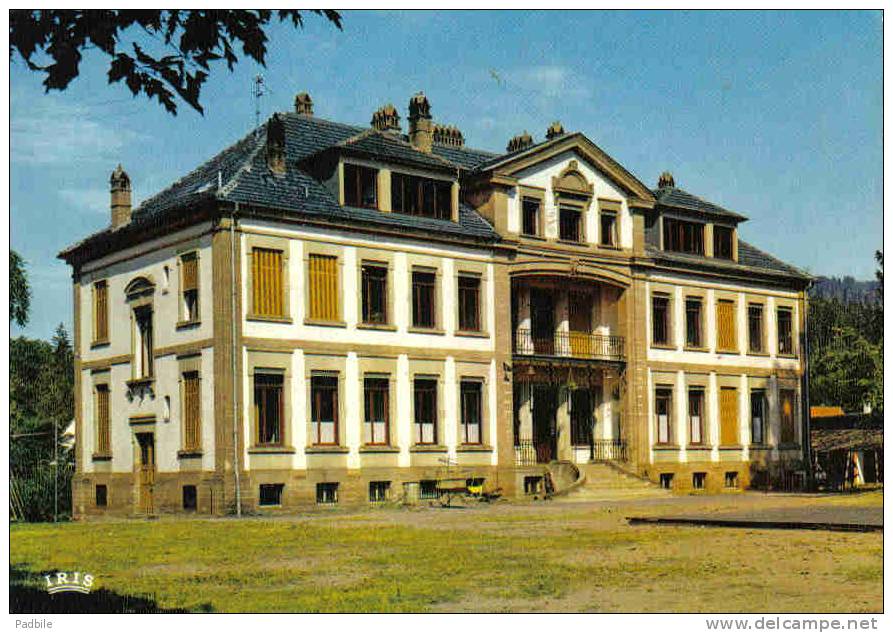 Carte Postale 67. Wingen-sur-Moder "Les Amis De L'Enfance St-Laurent" Le Chateau De La Colonie Bischheim  Trés Beau Plan - Andere & Zonder Classificatie