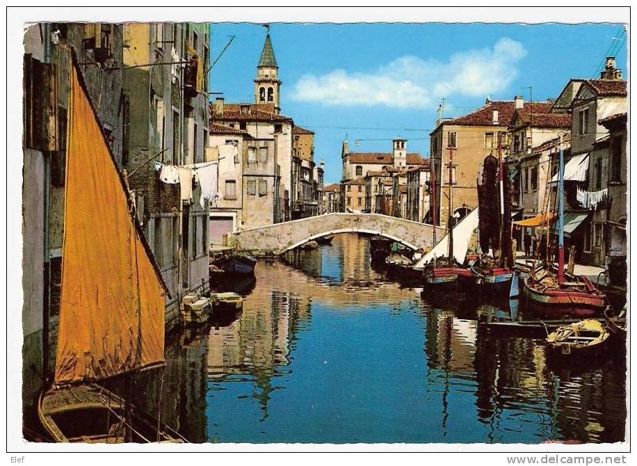 CHIOGGIA Pittoresca : Canal Vena ; 1979 ;  TB - Chioggia