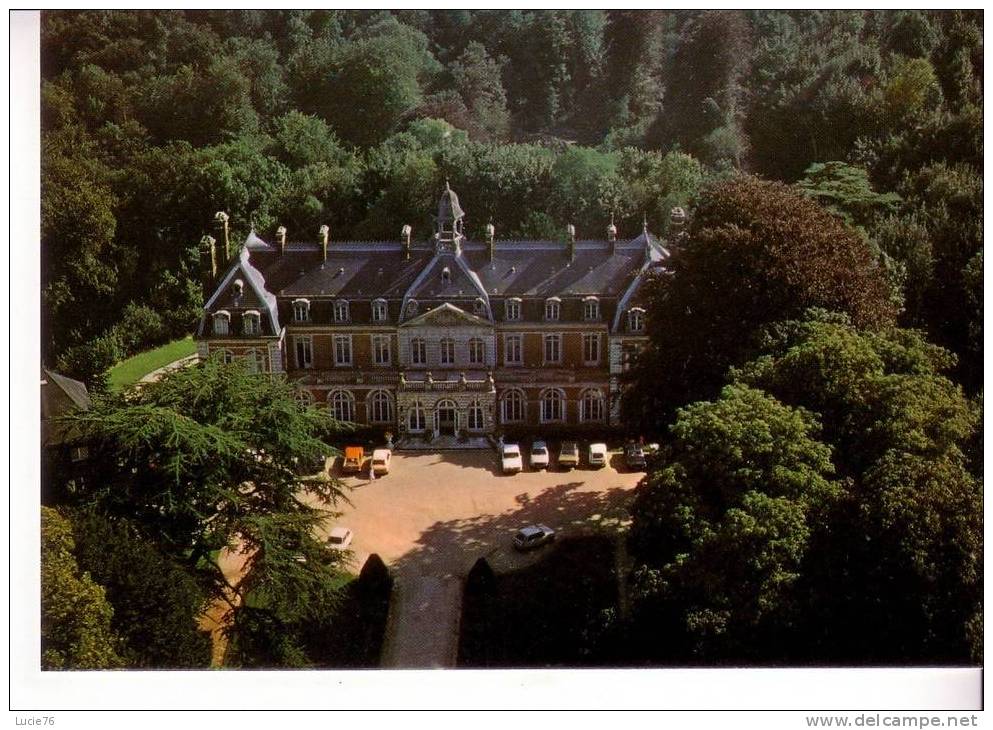 VILLEQUIER -  Vue Aérienne -  Château Du Domaine De Villequier - Villequier