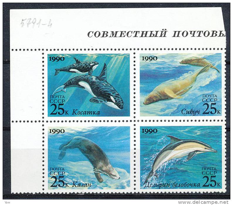 RUSSIA  1990  MAMMIFERI MARINI. EMISSIONE CONGIUNTA CON URSS-USA 4 VALORI MNH** SERIE COMPLETA - Dolphins