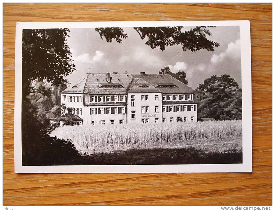 HOHNSTEIN   FDGB Haus Sachsen  1961  VF  D19881 - Hohnstein (Saechs. Schweiz)