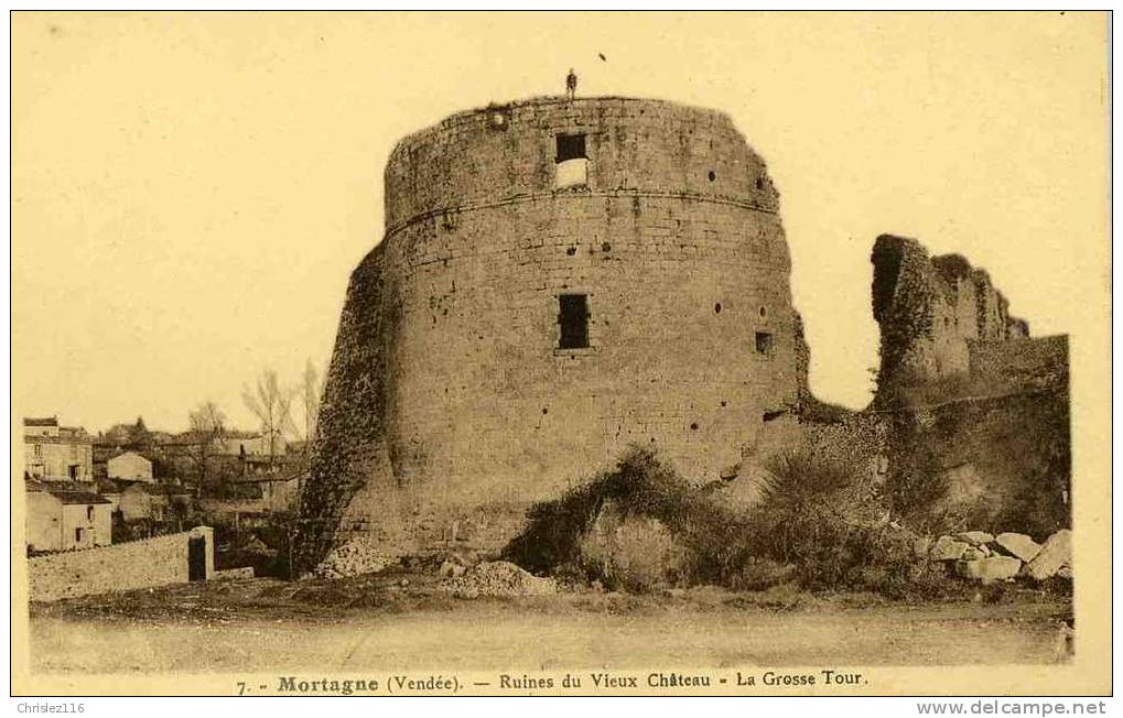 85 MORTAGNE Ruines Du Vieux Château - Mortagne Sur Sevre