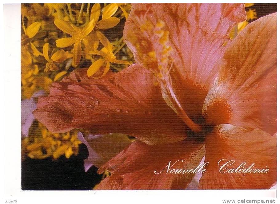 Fleurs De NOUVELLE CALEDONIE -  L´Hibiscus - N° 130 - Nouvelle Calédonie