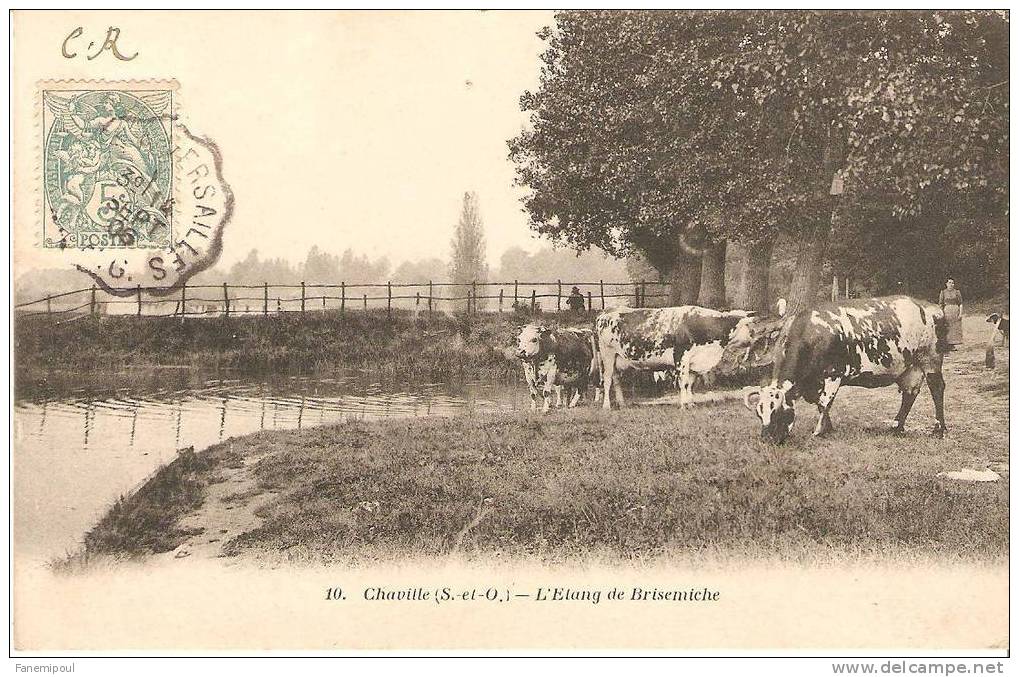 CHAVILLE . L´Etang De Brisemiche - Chaville