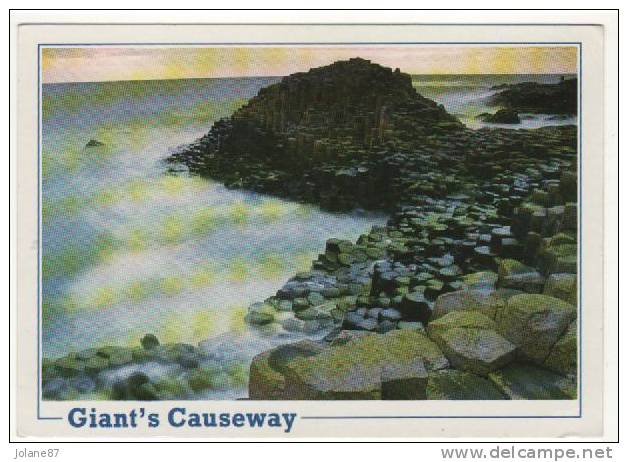 CPM   IRLANDE    GIANT S CAUSEWAY    COUNTY ANTRIM - Antrim