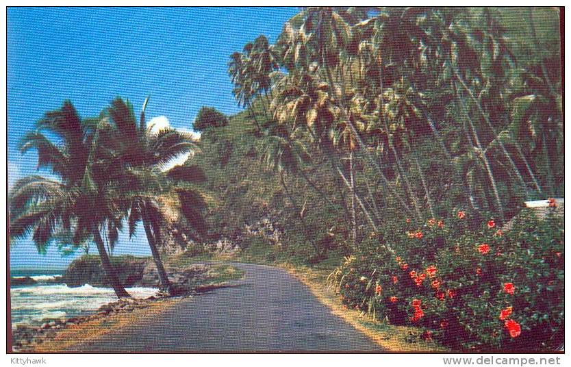 CP 116 - TAHITI - Mahine - Polynésie Française