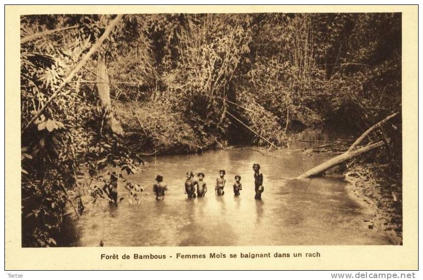 Viêt-Nam - Foret De Bambous - Femmes Moïs Se Baigant Dans Un Rach - Viêt-Nam