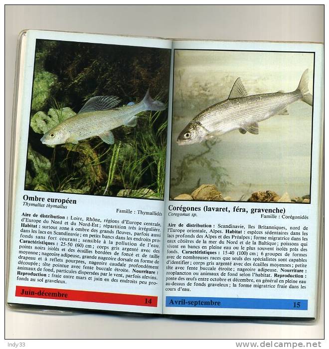 - LES POISSONS D´EAU DOUCE . PAR R. HOFER  . MINIGUIDE NATHAN 1984 - Caccia/Pesca